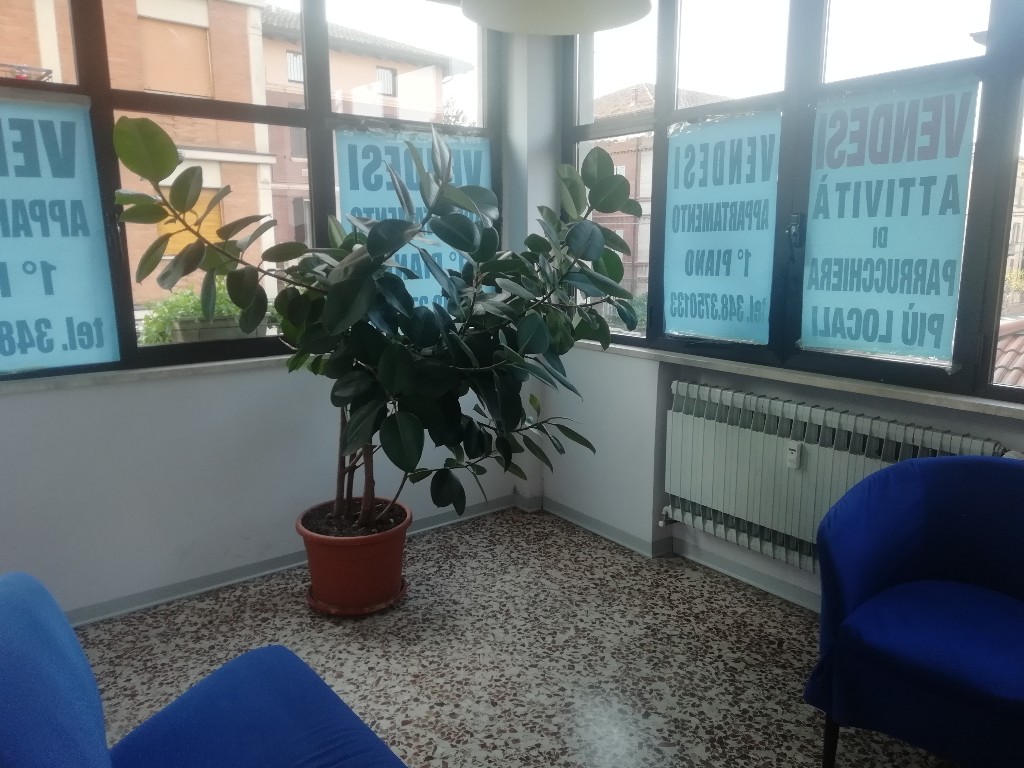 Immagine annuncio id 146178 