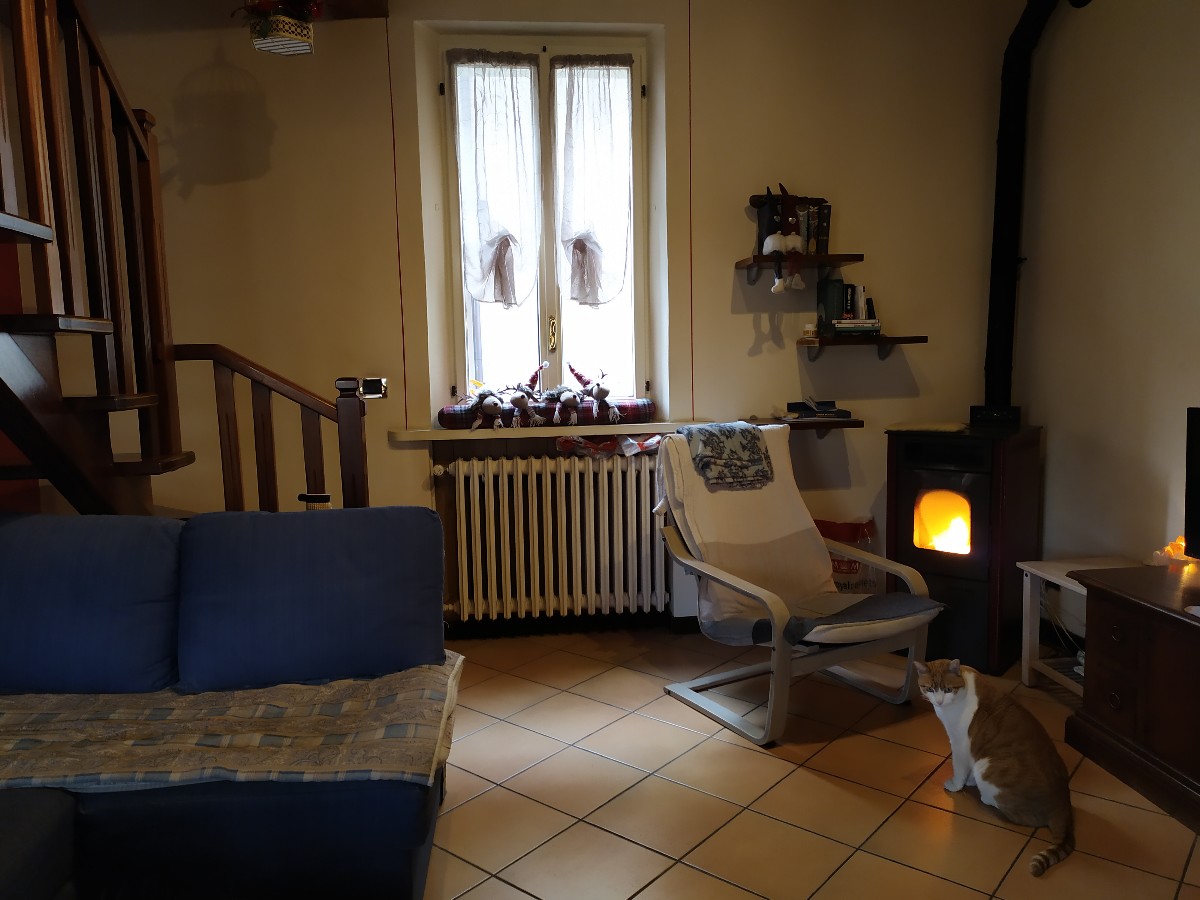 Immagine annuncio id 155933 