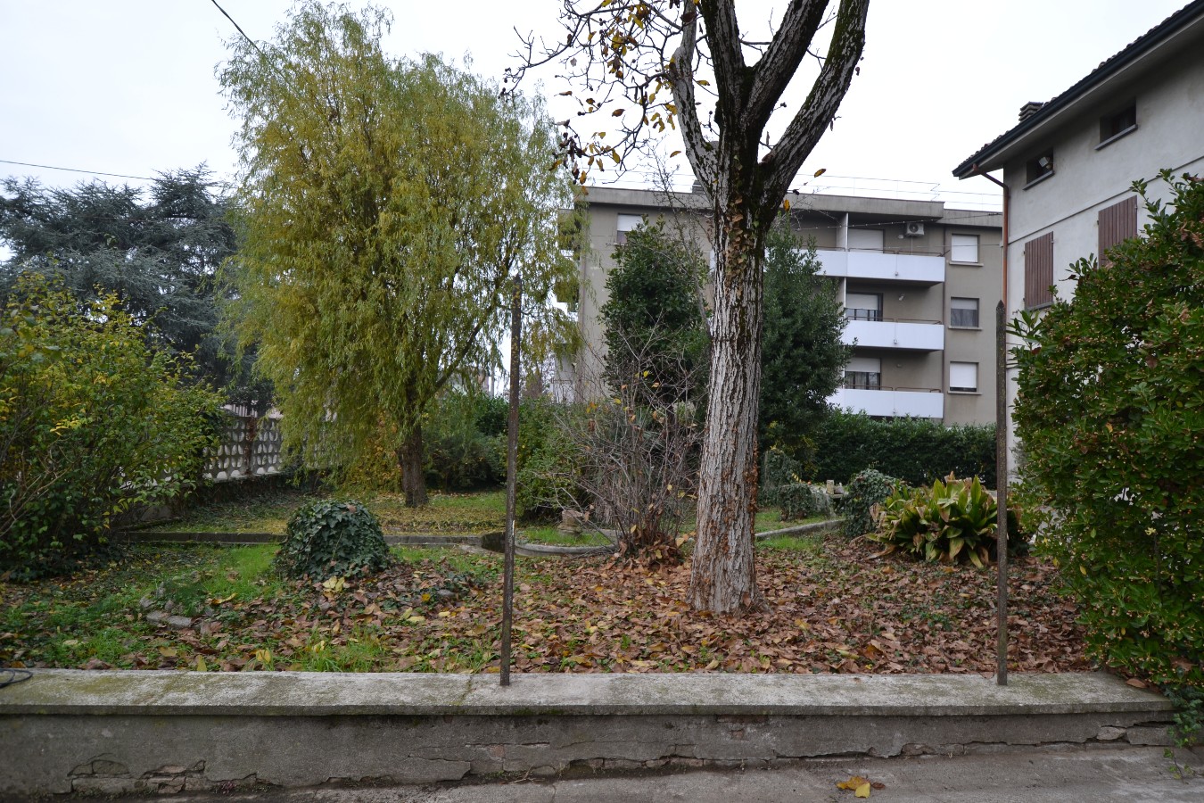 Immagine annuncio id 159443 