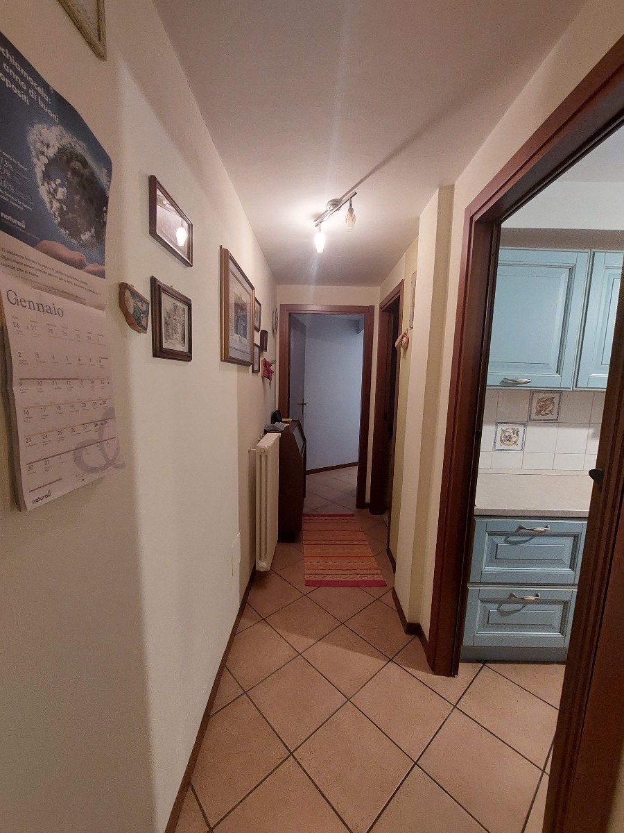 Immagine annuncio id 160173 