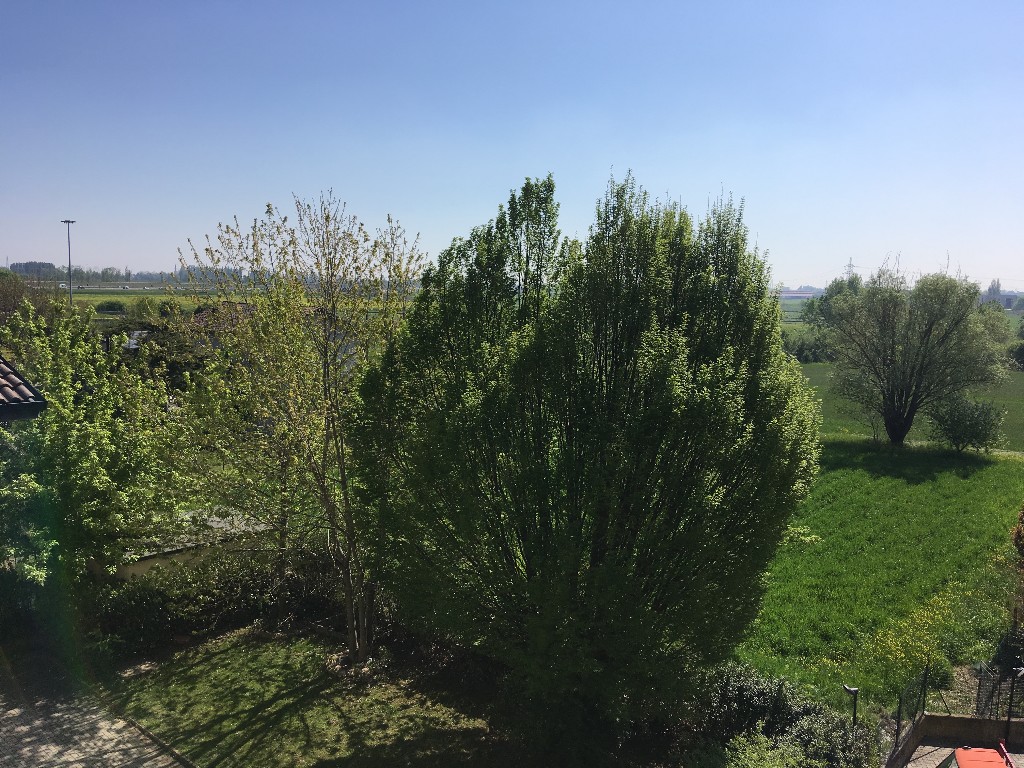 Immagine annuncio id 160323 