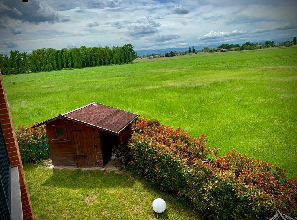 Immagine annuncio id 160695 