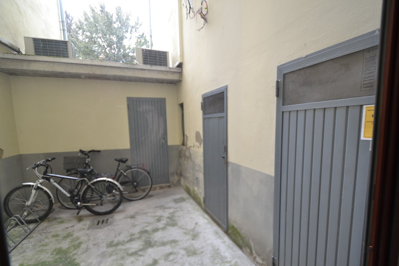 Immagine annuncio id 161341 