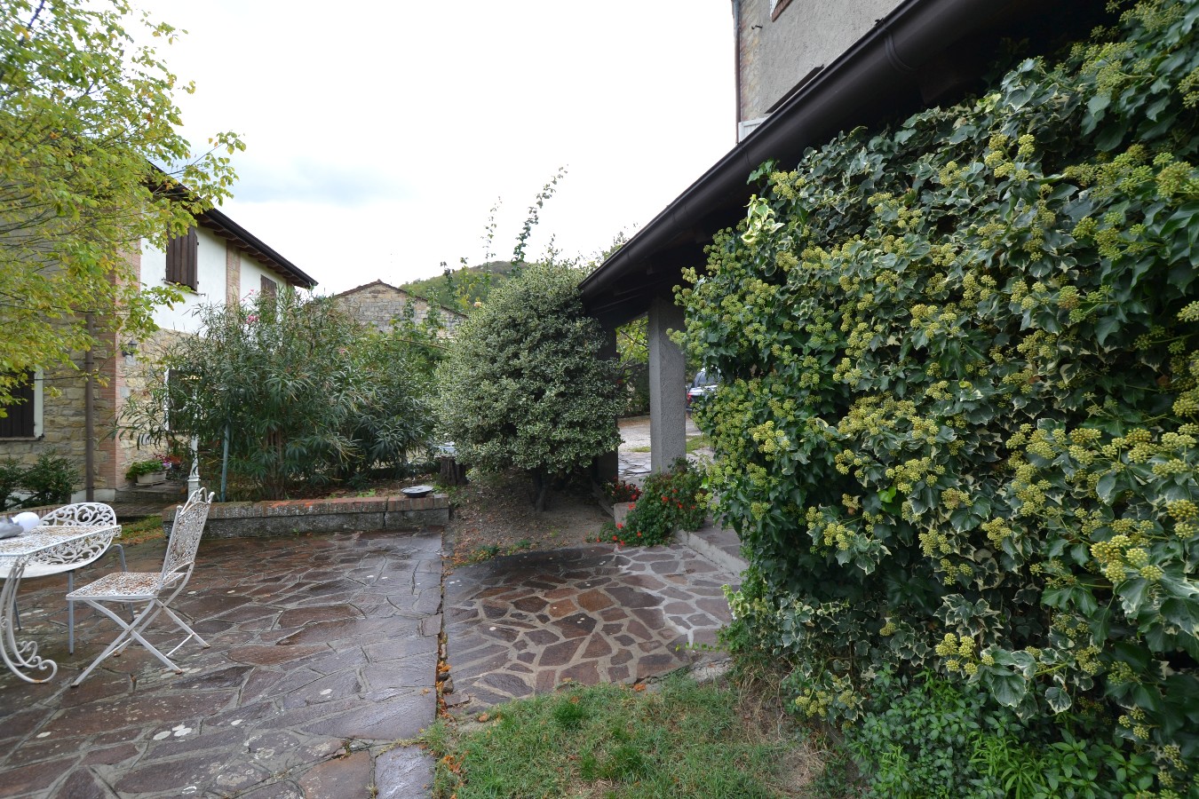 Immagine annuncio id 159478 