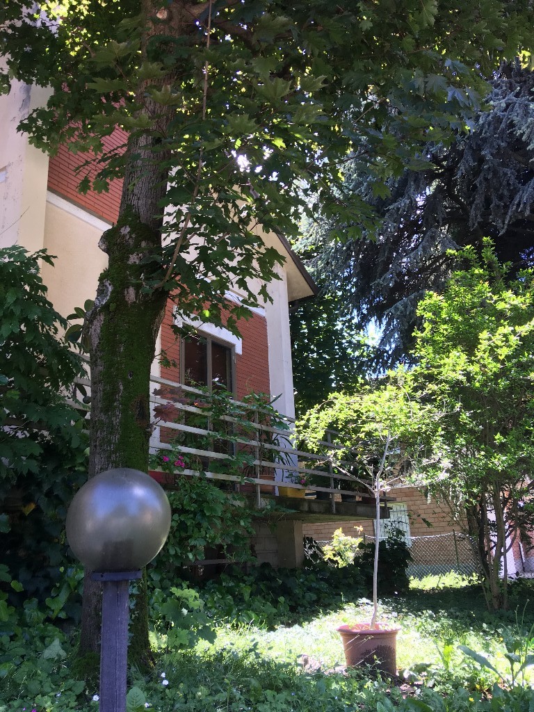 Immagine annuncio id 160783 