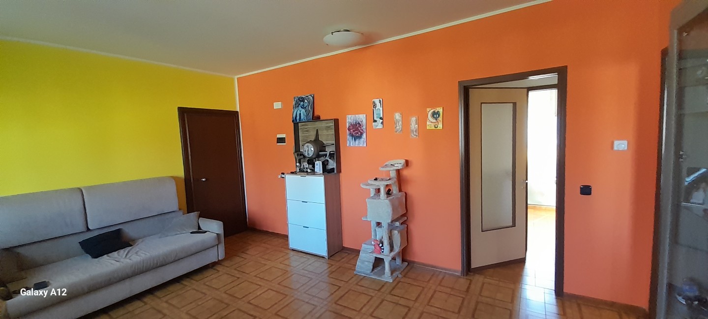Immagine annuncio id 161485 