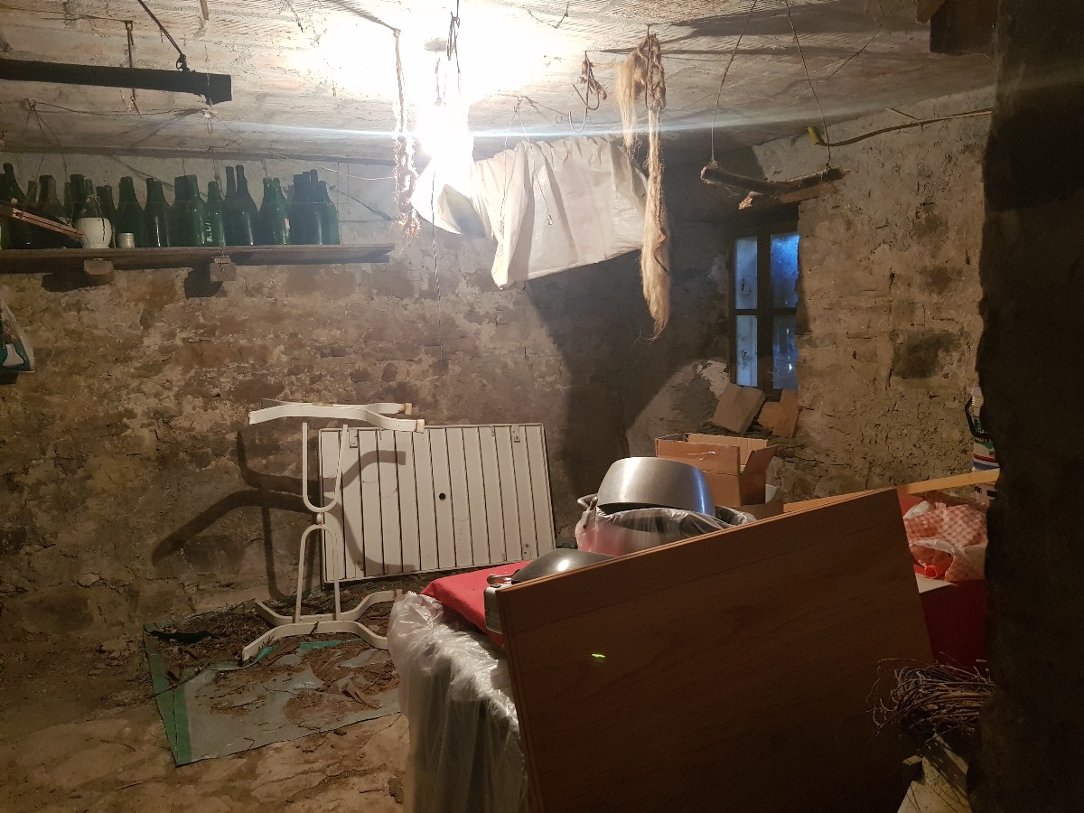 Immagine annuncio id 161569 