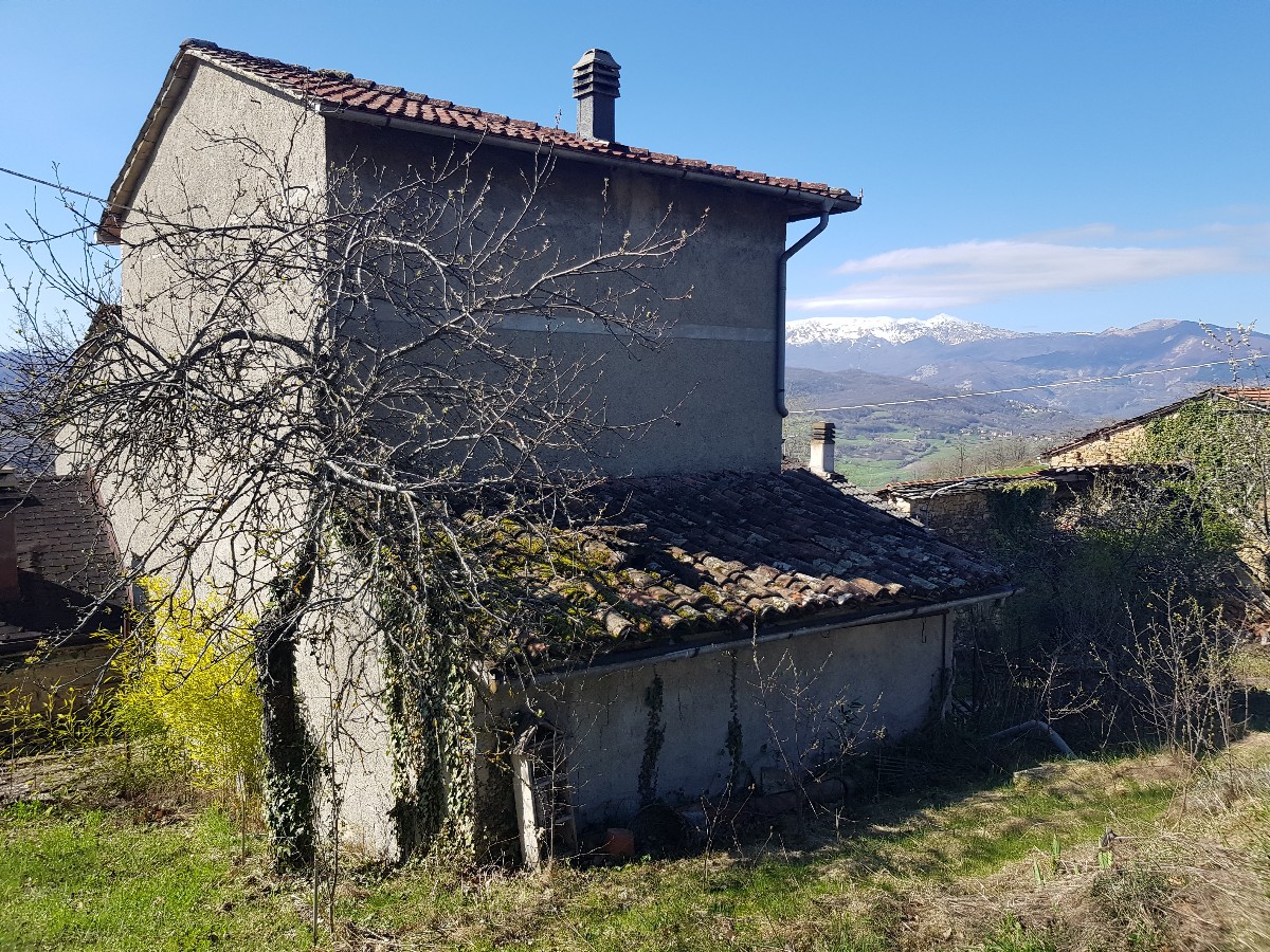 Immagine annuncio id 161569 