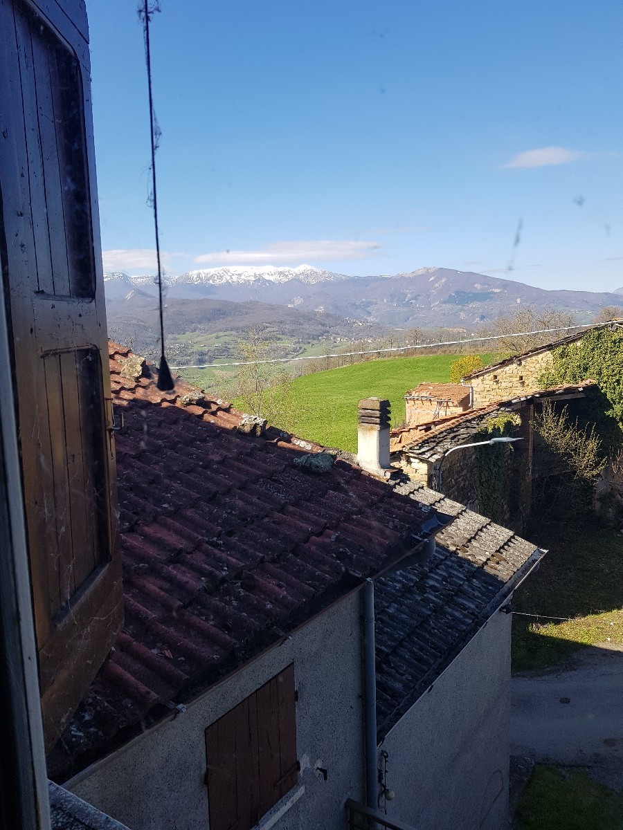 Immagine annuncio id 161569 