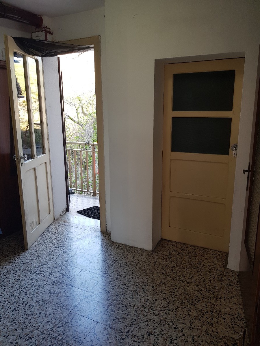 Immagine annuncio id 161569 