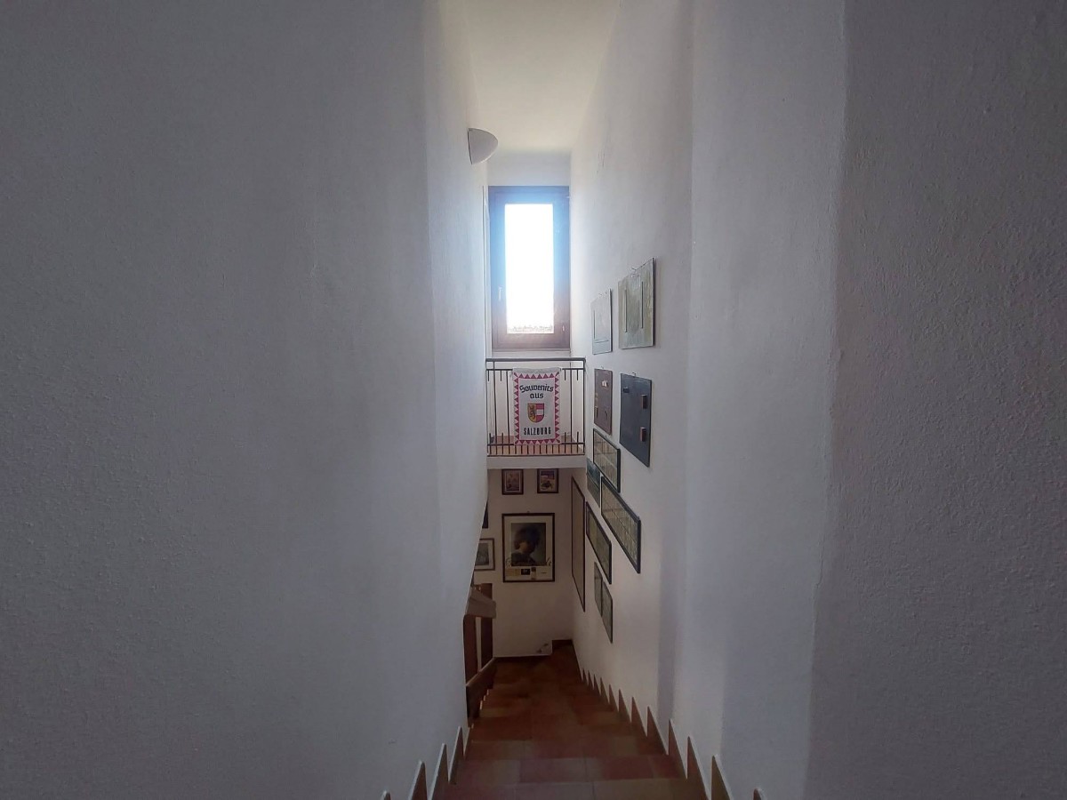 Immagine annuncio id 161817 