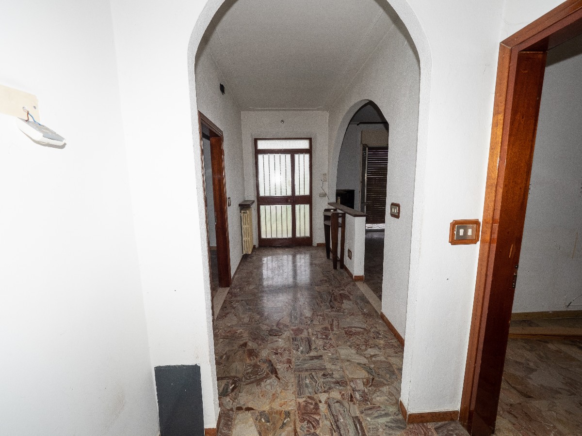 Immagine annuncio id 163746 