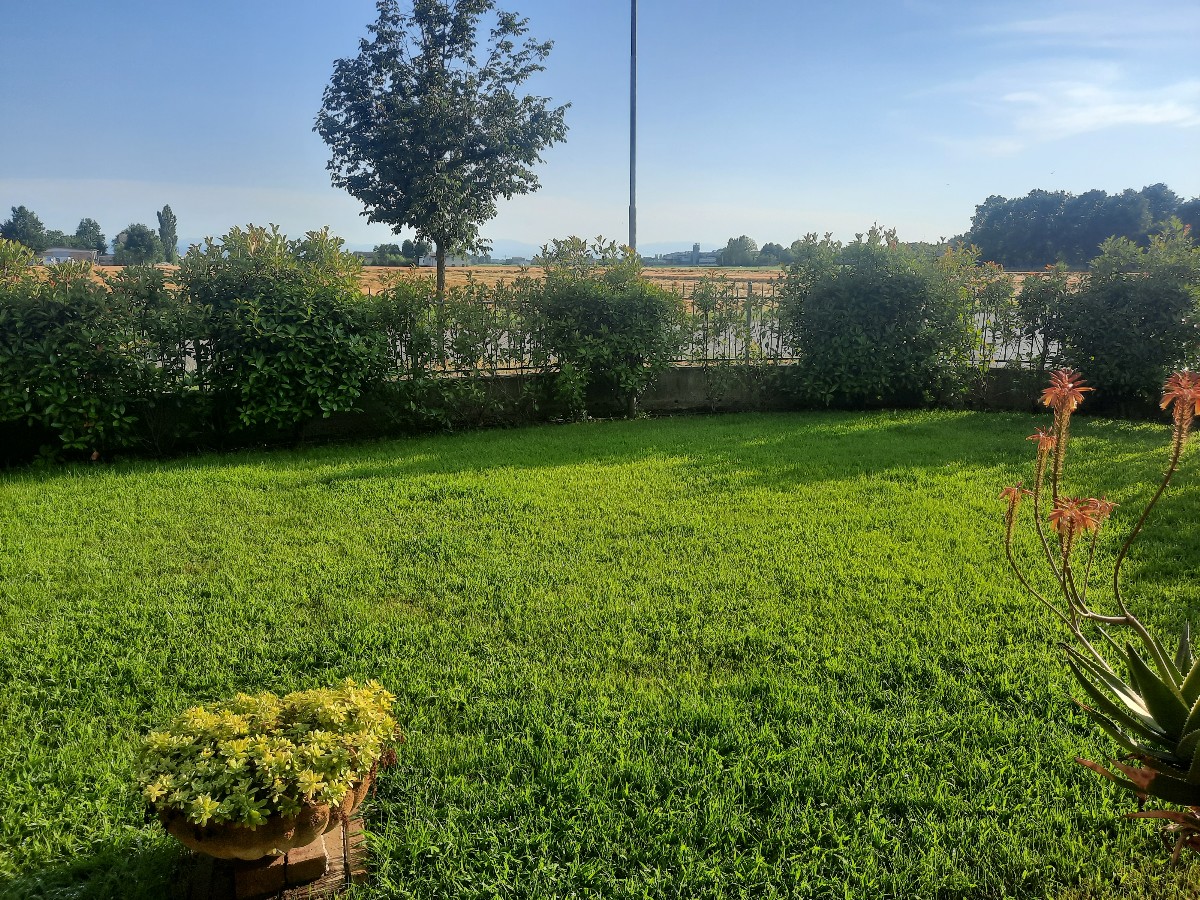 Immagine annuncio id 163964 