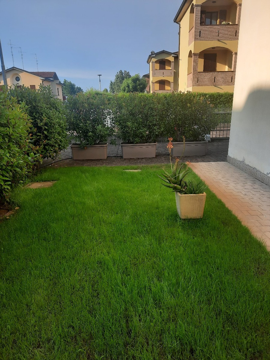 Immagine annuncio id 163964 