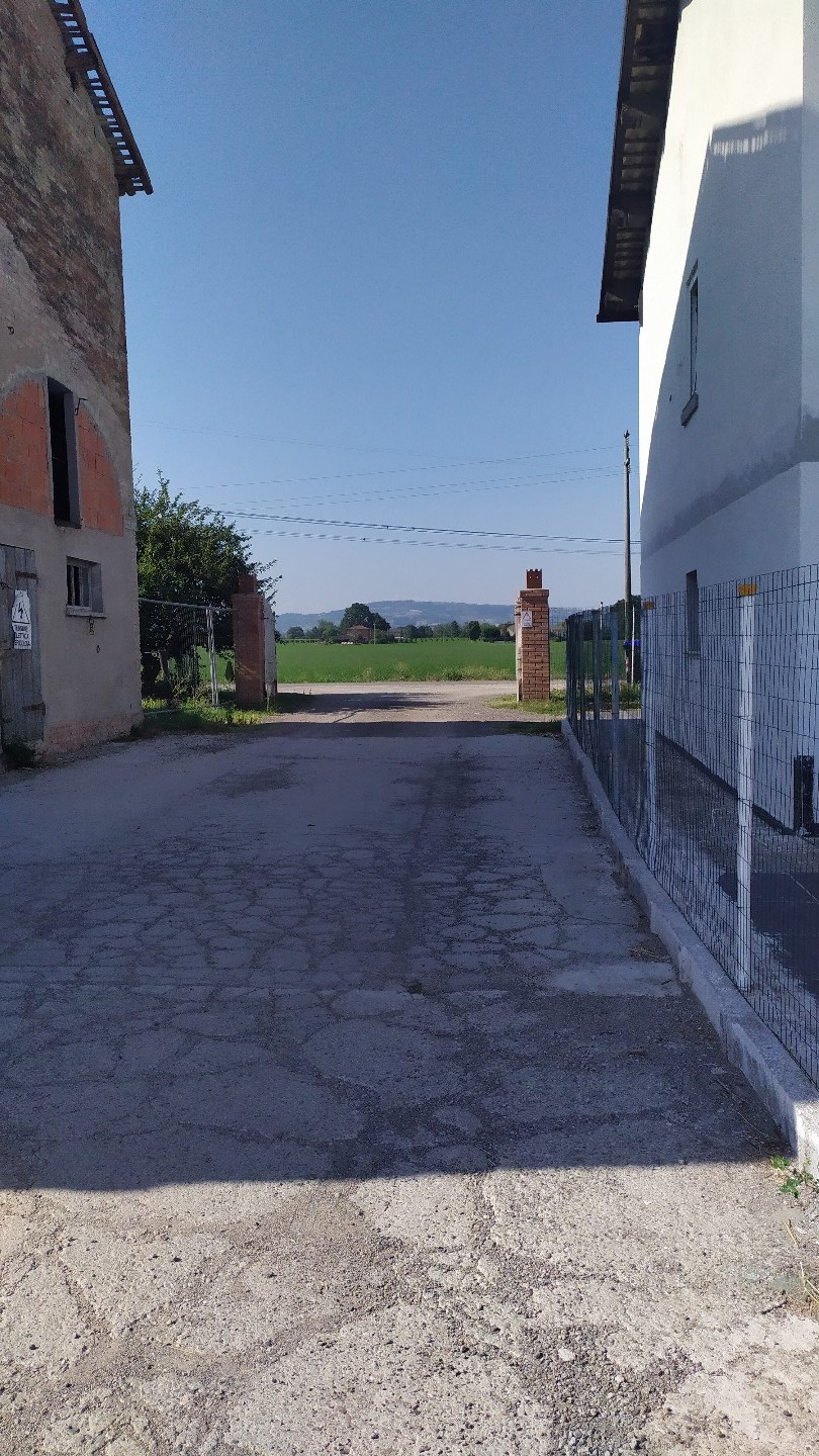 Immagine annuncio id 164100 