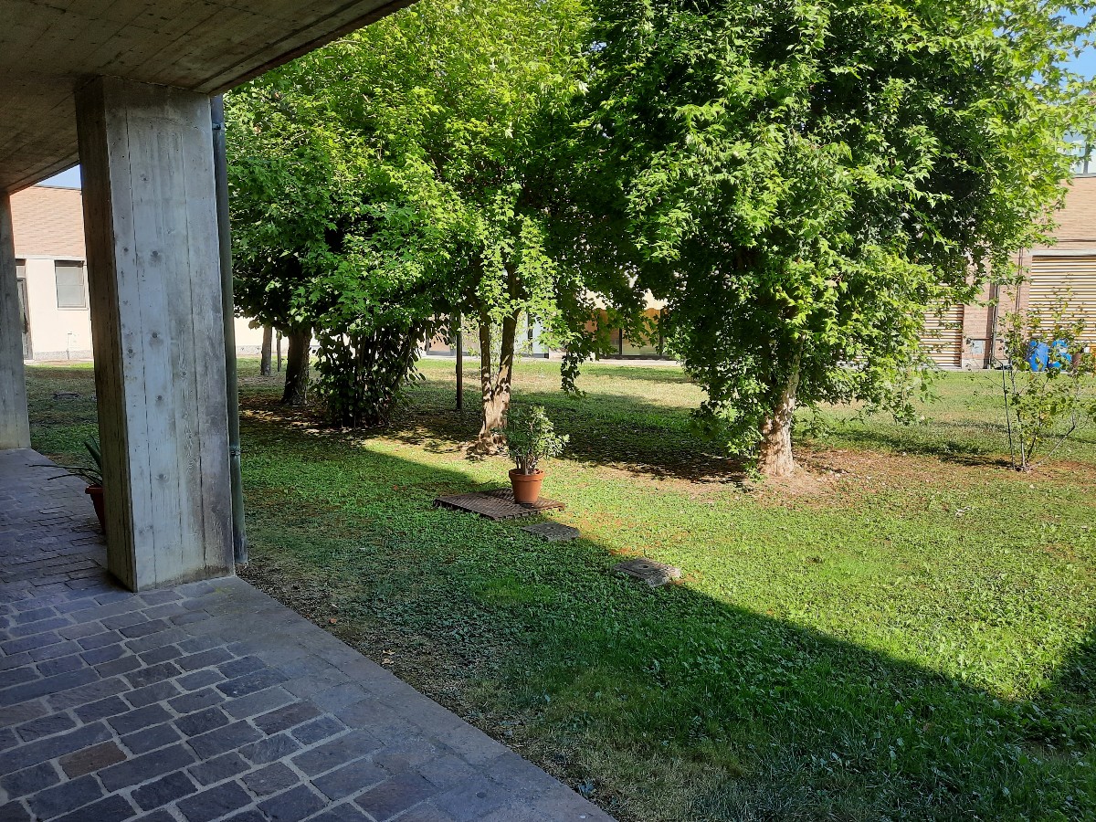 Immagine annuncio id 164515 