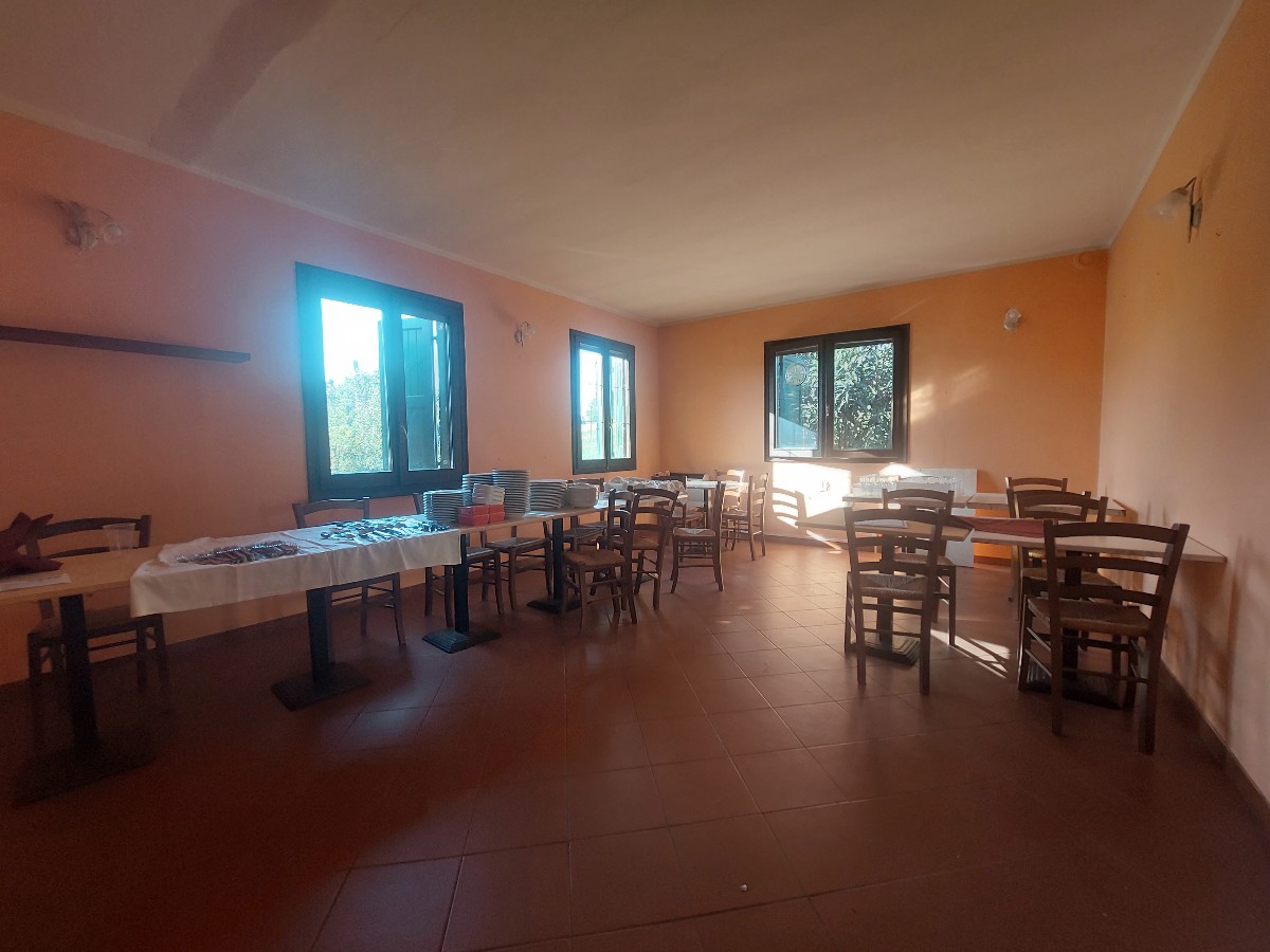 Immagine annuncio id 164615 