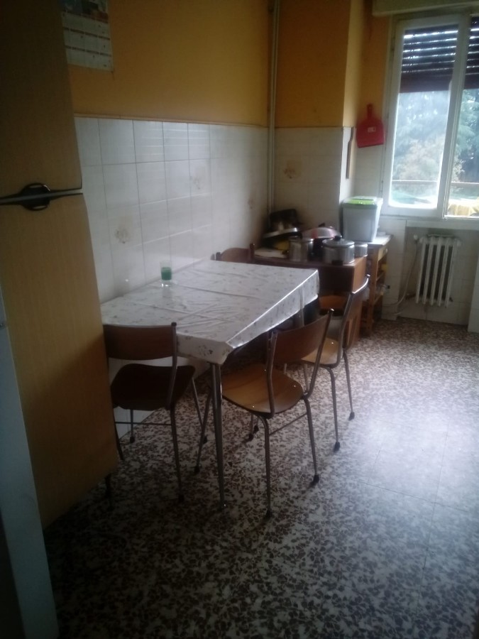 Immagine annuncio id 165246 