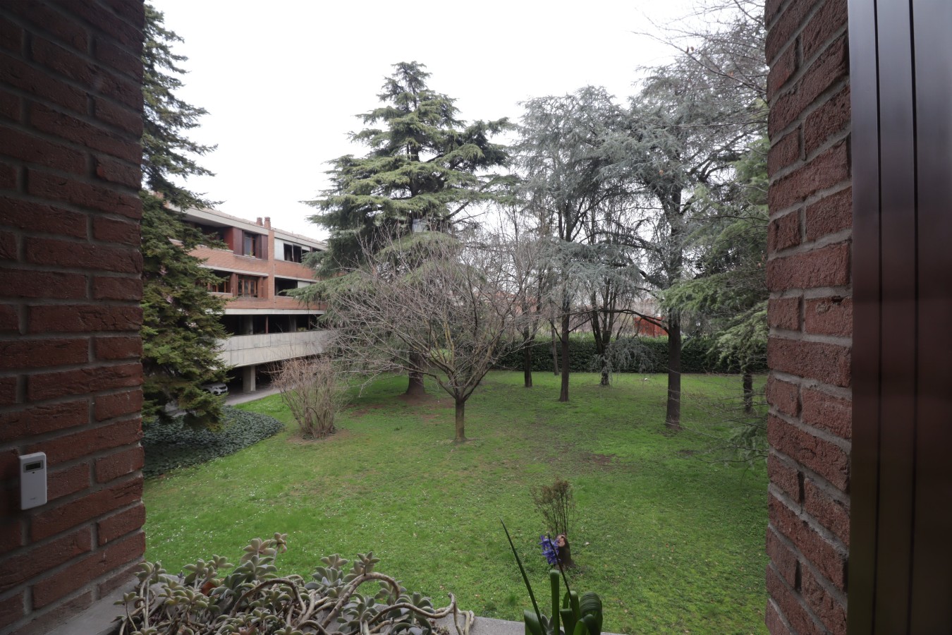 Immagine annuncio id 169783 