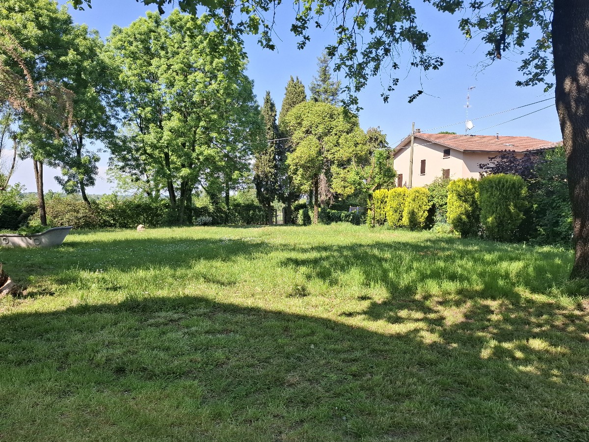 Immagine annuncio id 177535 