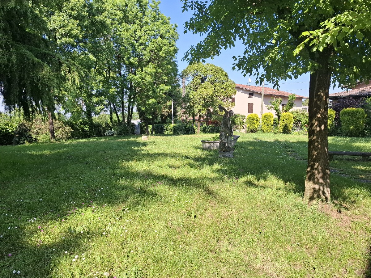 Immagine annuncio id 177535 