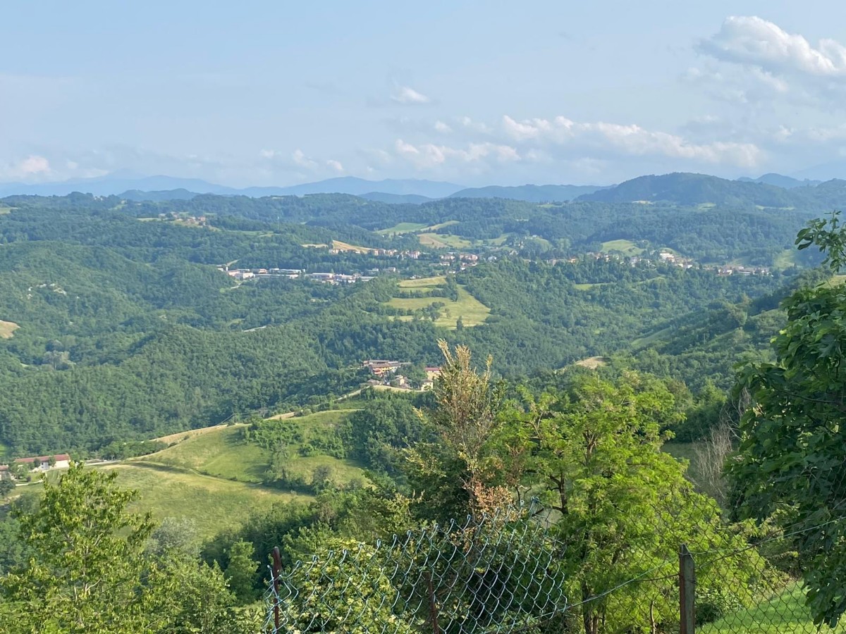 Immagine annuncio id 175468 