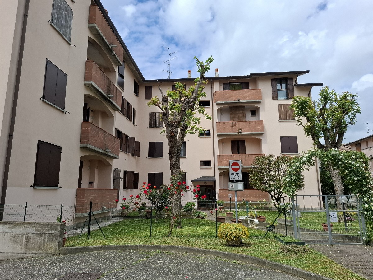 Immagine annuncio id 178955 