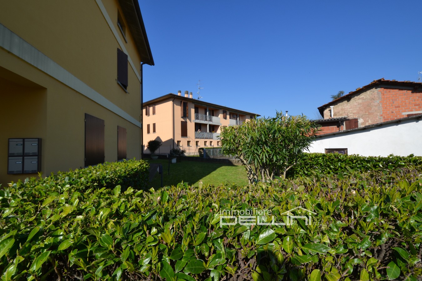 Immagine annuncio id 176869 