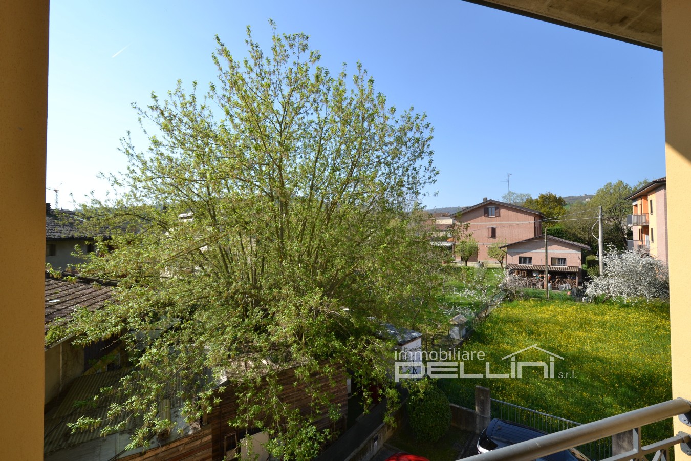 Immagine annuncio id 176869 
