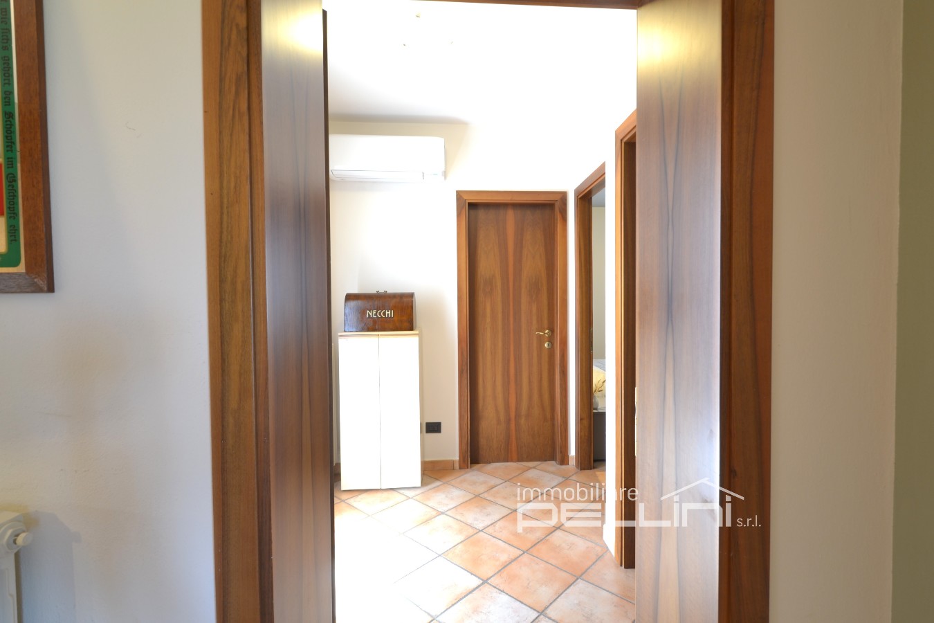 Immagine annuncio id 176869 