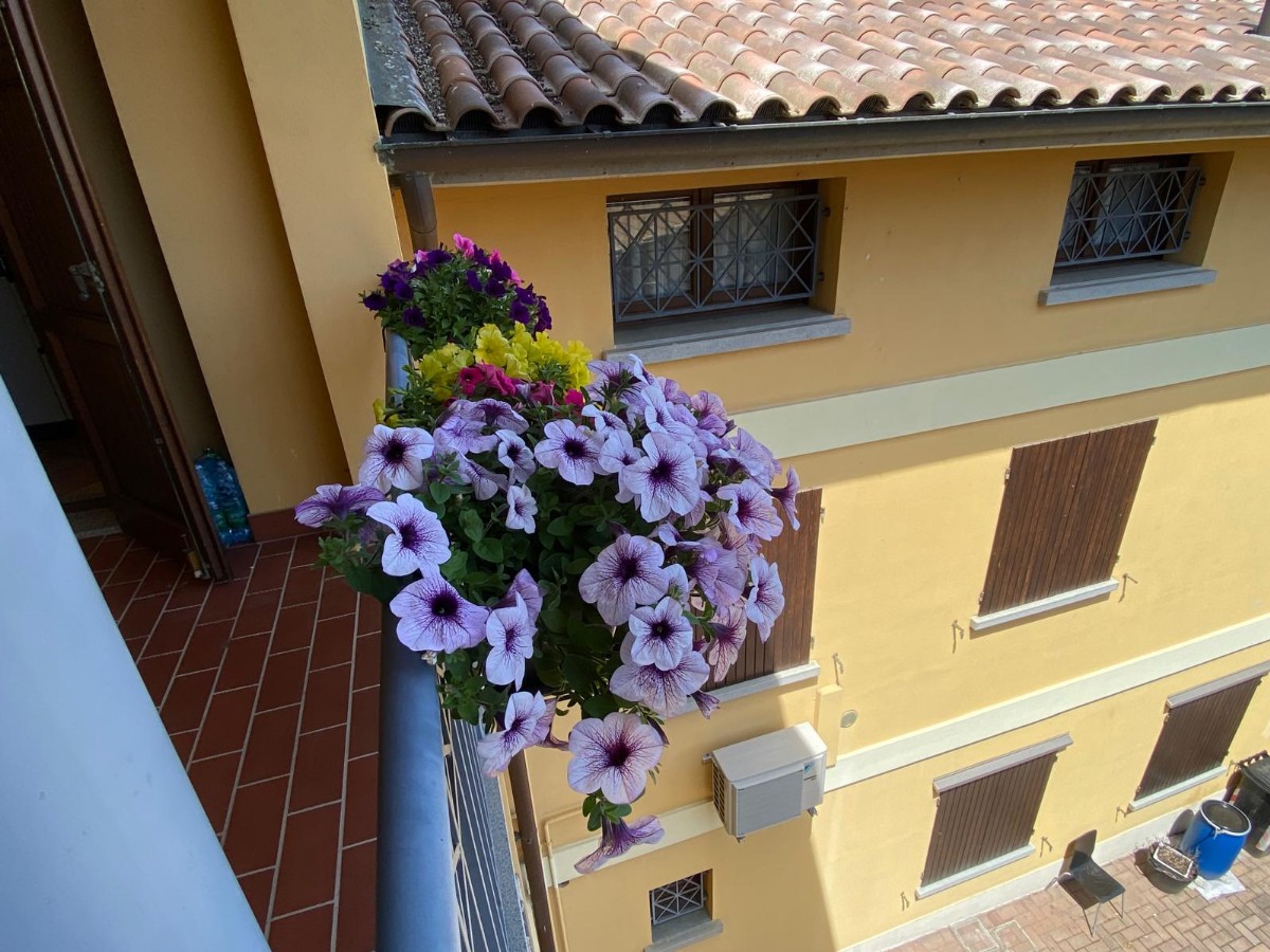 Immagine annuncio id 176869 