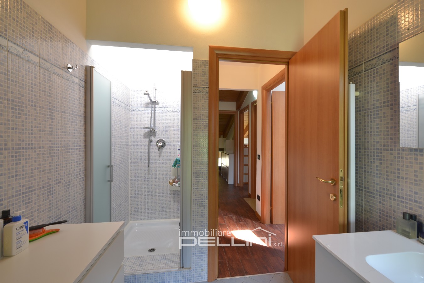 Immagine annuncio id 180073 
