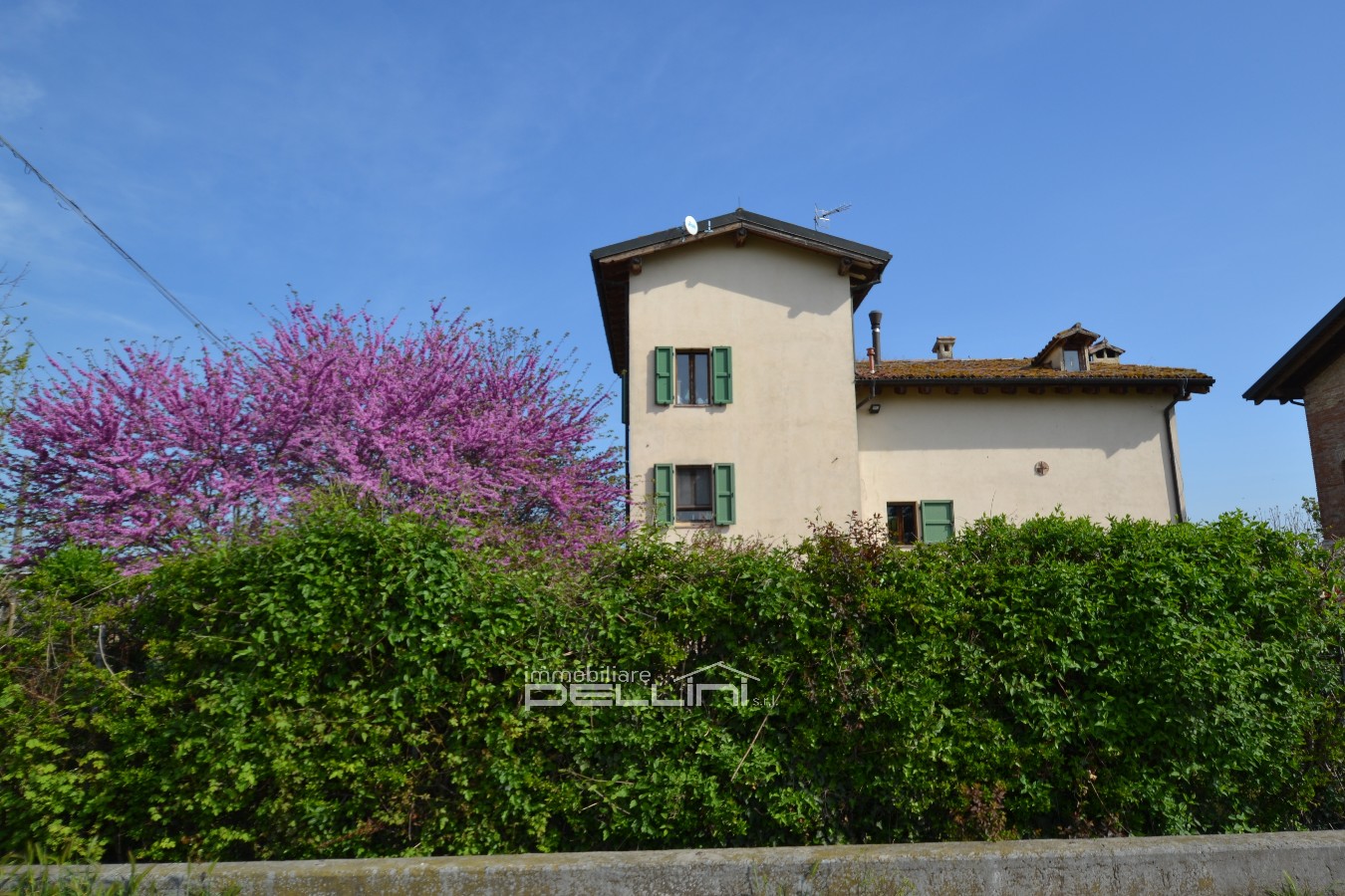 Immagine annuncio id 176825 