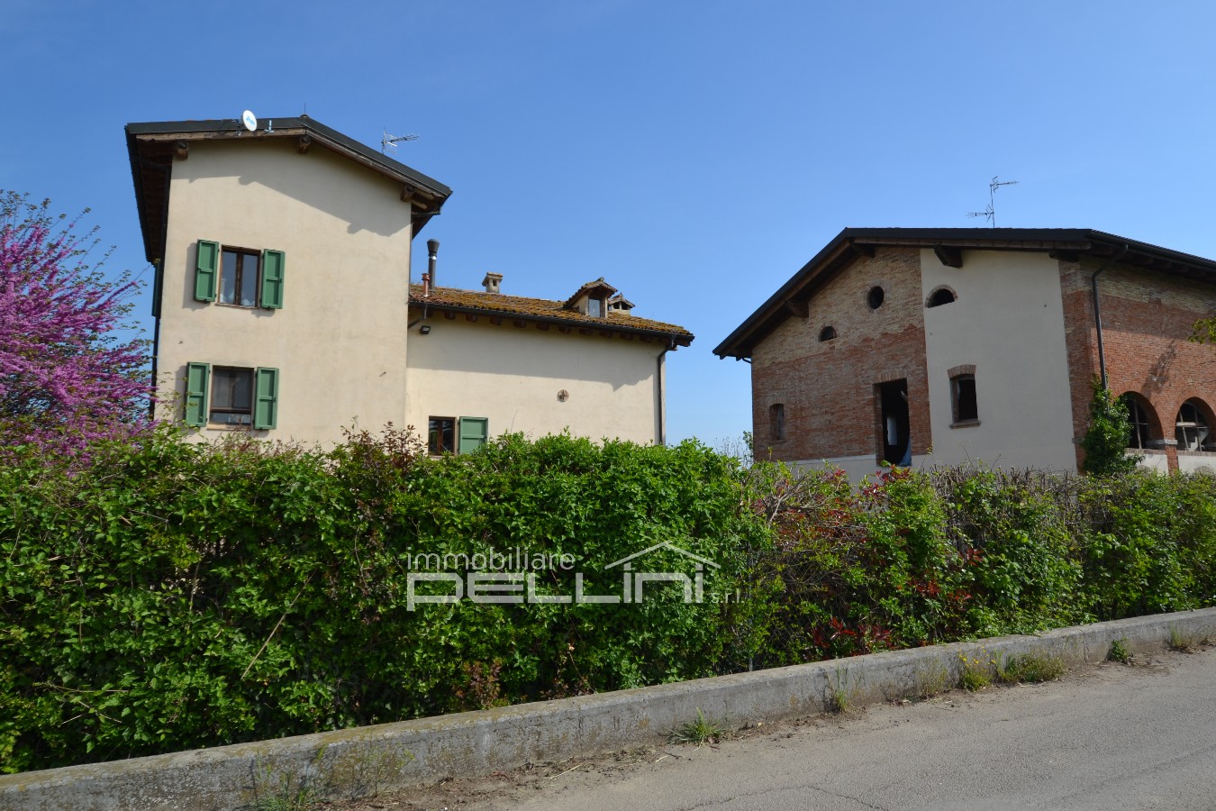 Immagine annuncio id 176825 