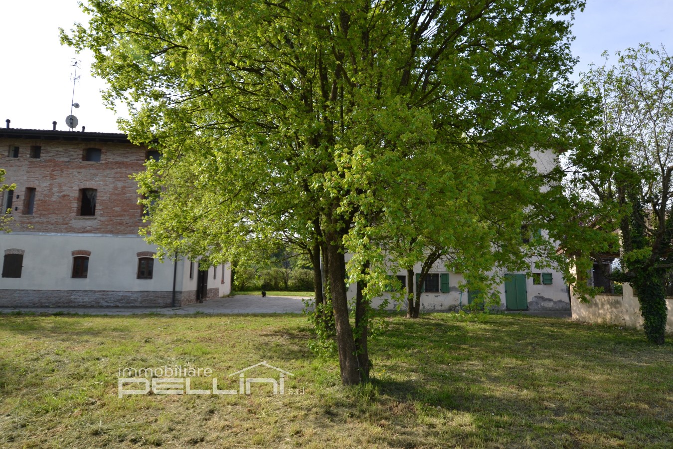 Immagine annuncio id 176825 