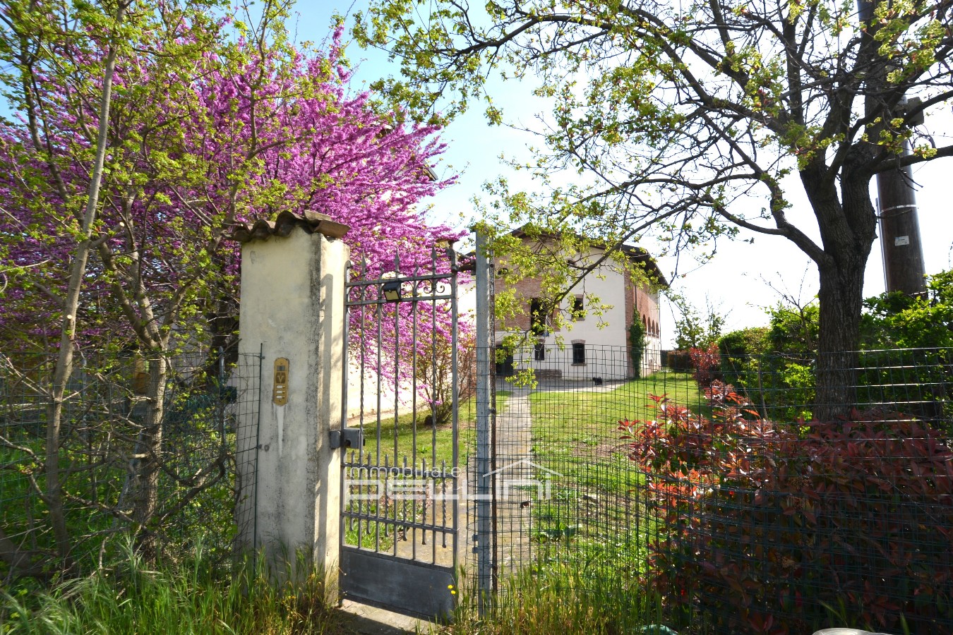 Immagine annuncio id 176825 