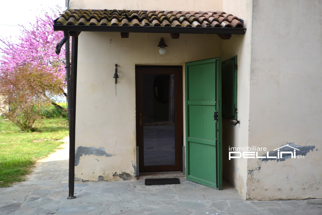 Immagine annuncio id 176825 