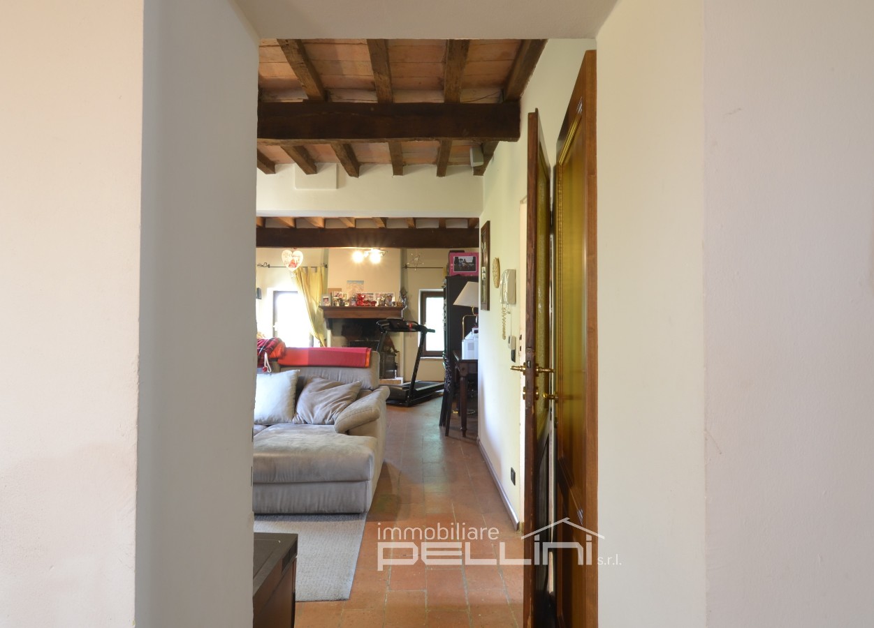 Immagine annuncio id 176825 