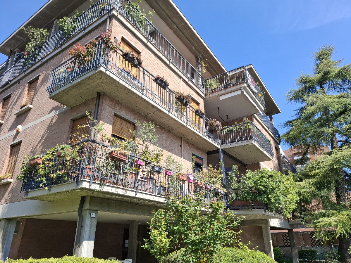 Immagine annuncio id 181356 