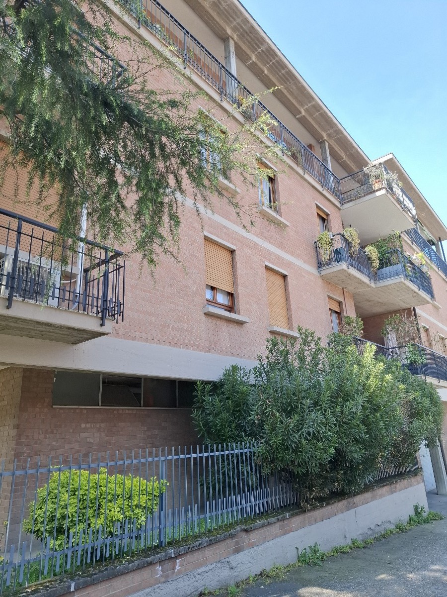 Immagine annuncio id 181356 