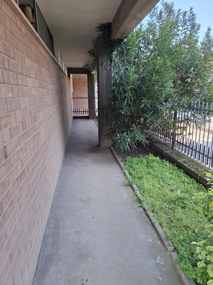 Immagine annuncio id 181356 