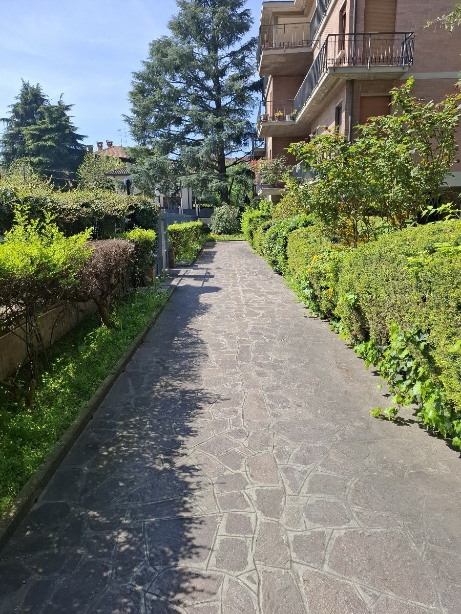 Immagine annuncio id 181356 