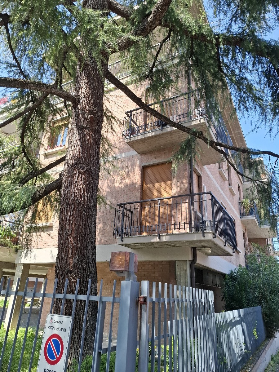 Immagine annuncio id 181356 