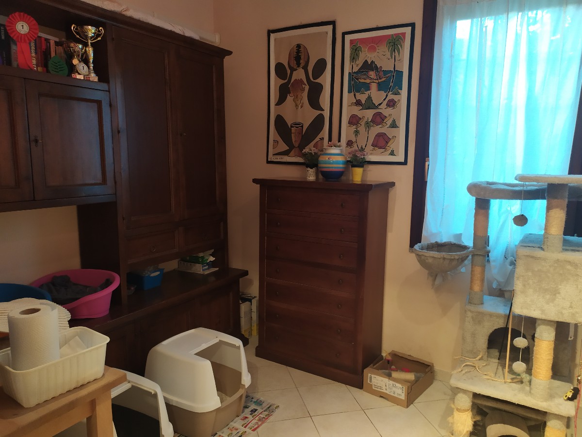 Immagine annuncio id 180510 