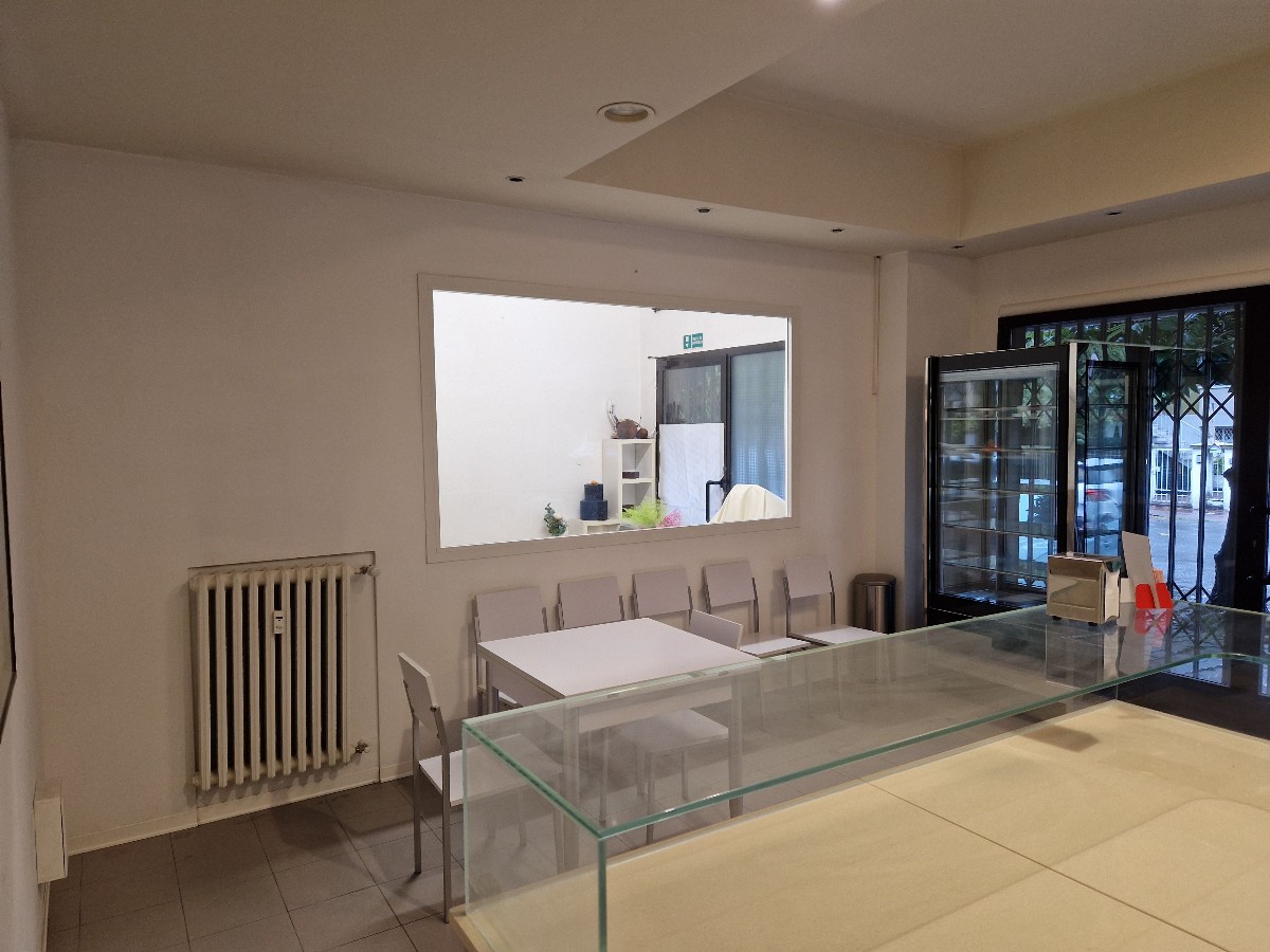 Immagine annuncio id 172757