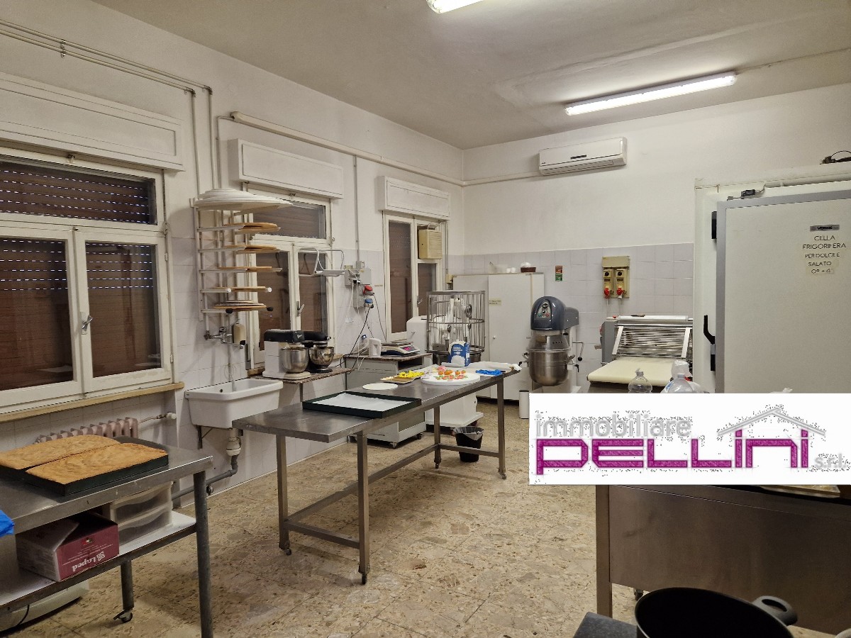 Immagine annuncio id 172757