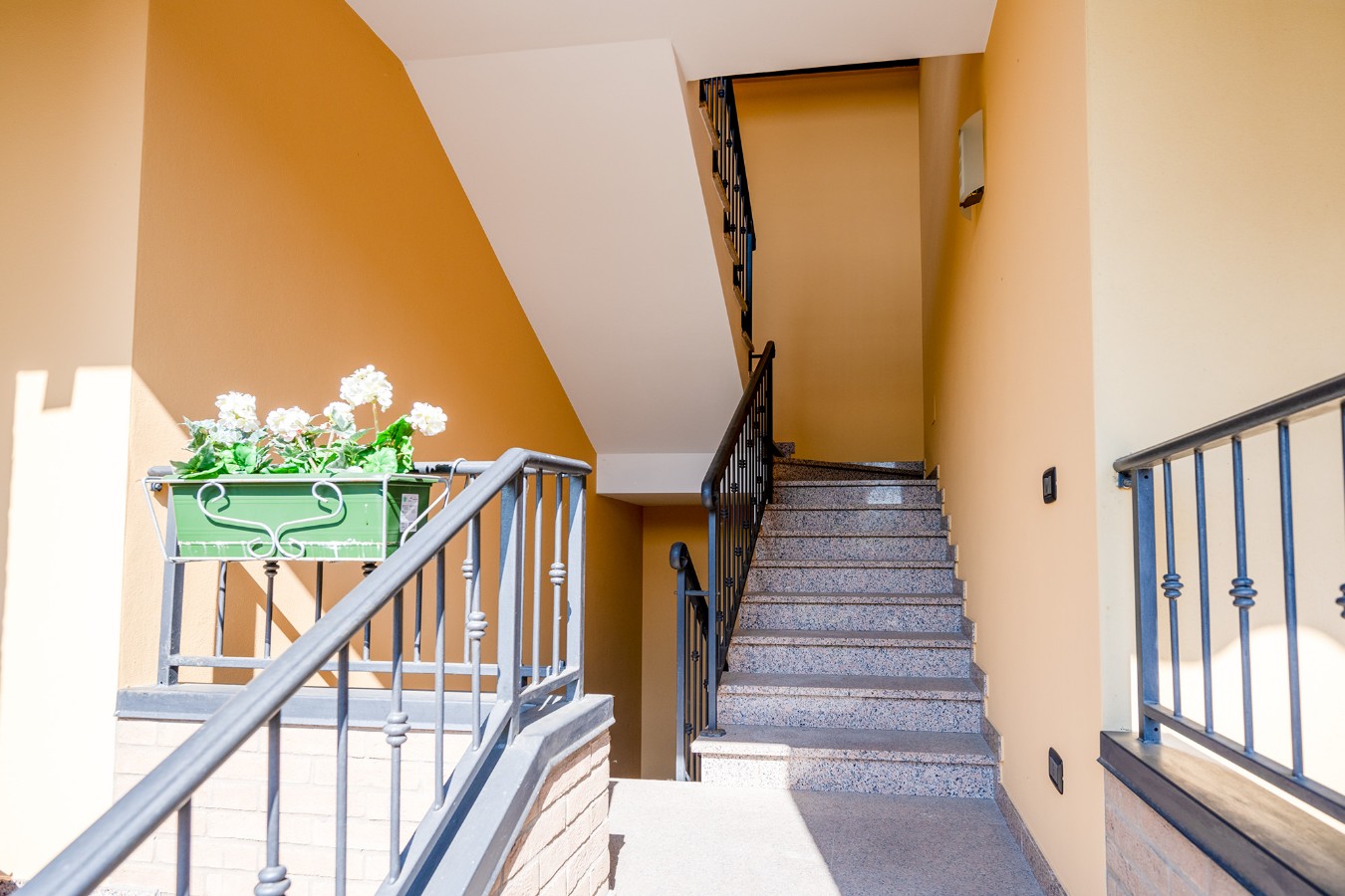 Immagine annuncio id 175035 