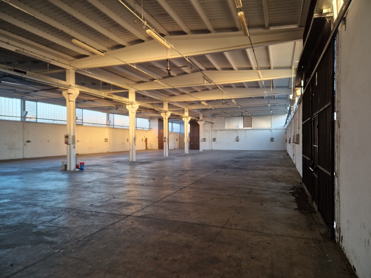 Immagine annuncio id 173425 