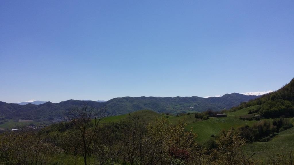 Immagine annuncio id 181697 