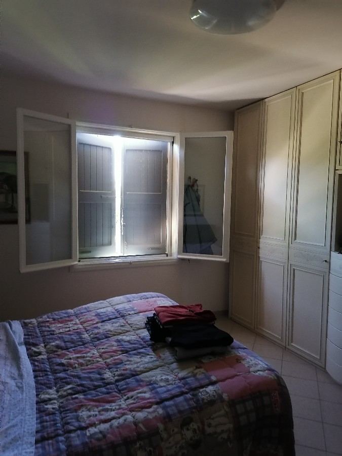 Immagine annuncio id 181697 